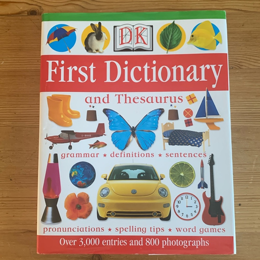 Y2K Kids dictionary DK publishing book